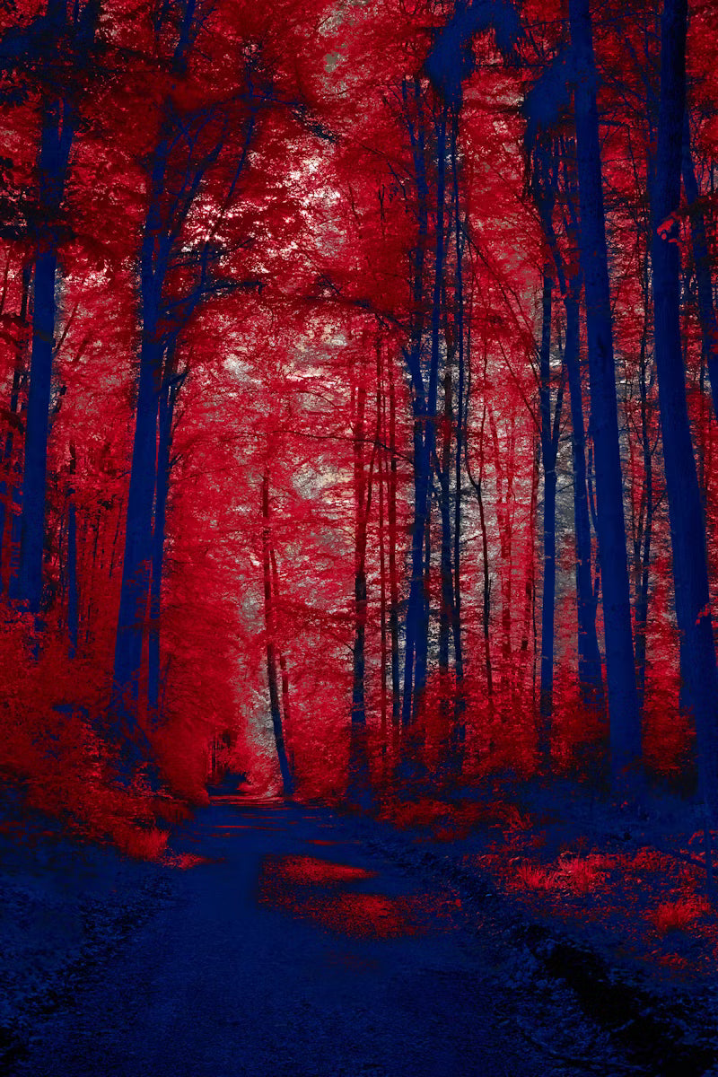 The Science Behind Red Light Therapy: How Does it Work