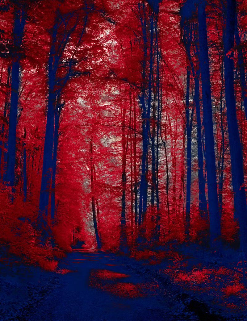 The Science Behind Red Light Therapy: How Does it Work - RedRays