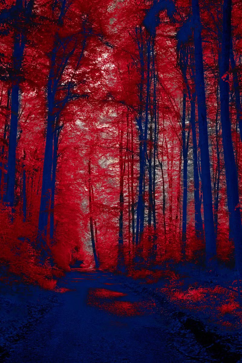 The Science Behind Red Light Therapy: How Does it Work - RedRays