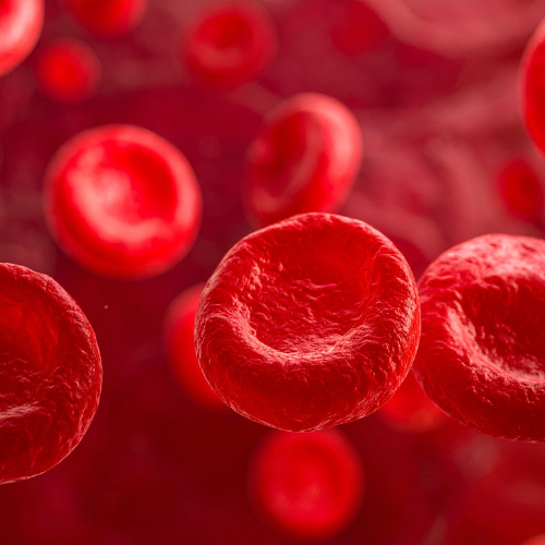 Improves Circulation and Oxygenation