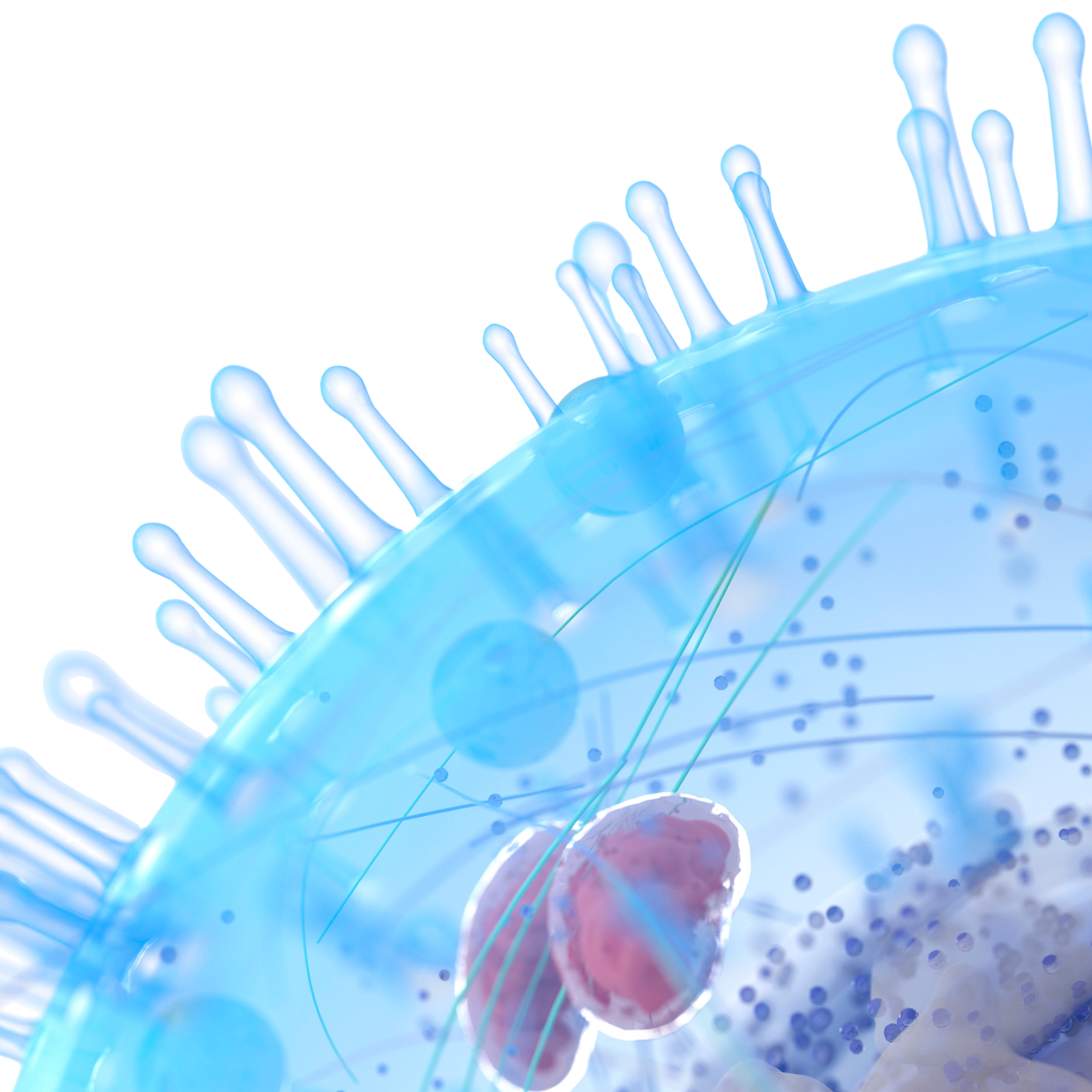cellular_repair.png